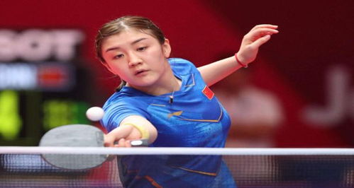 着高水平的 着高水平的