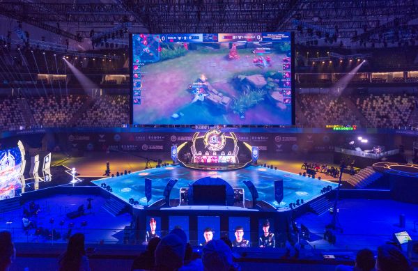 在哈维的引 在哈维的引