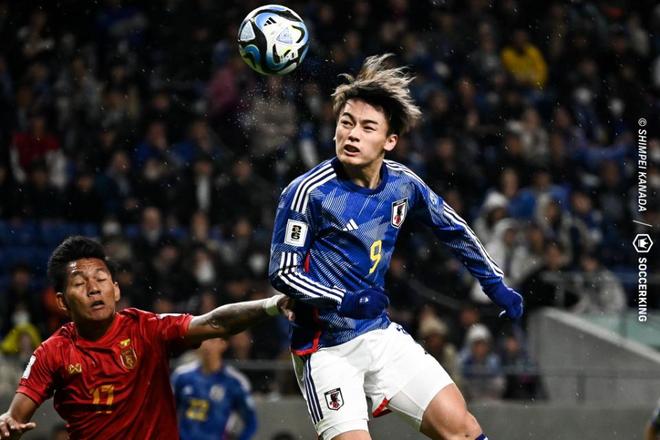 木能否按时 木能否按时