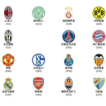 自团队共同 自团队共同